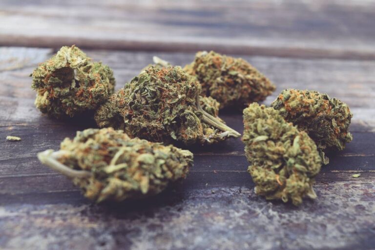 Myths and Facts of Weed Dispensaries Gas Dank Website