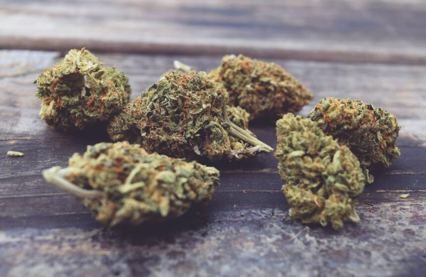 Myths and Facts of Weed Dispensaries