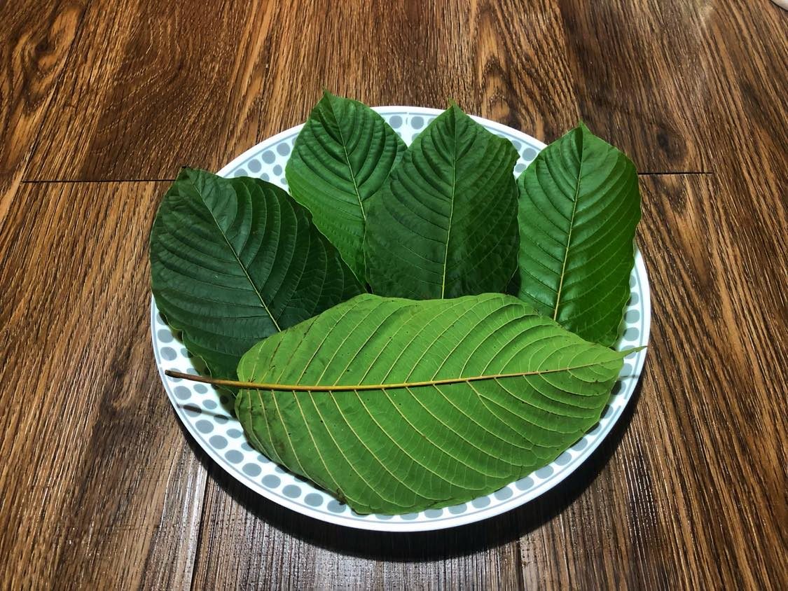 best kratom vendors